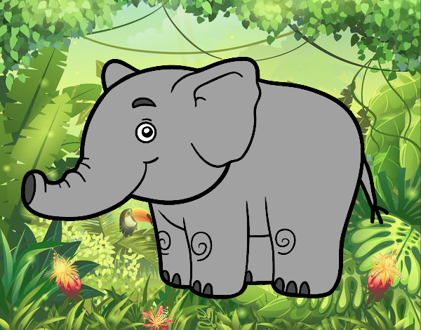 elefante