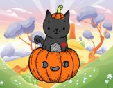 Un gatito de Halloween