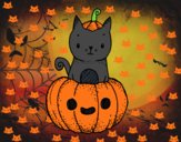 Un gatito de Halloween