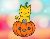 Un gatito de Halloween