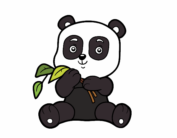 Un oso panda