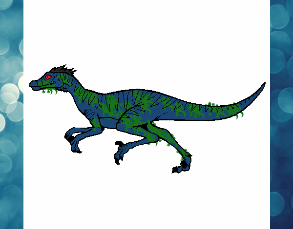 Velociraptor