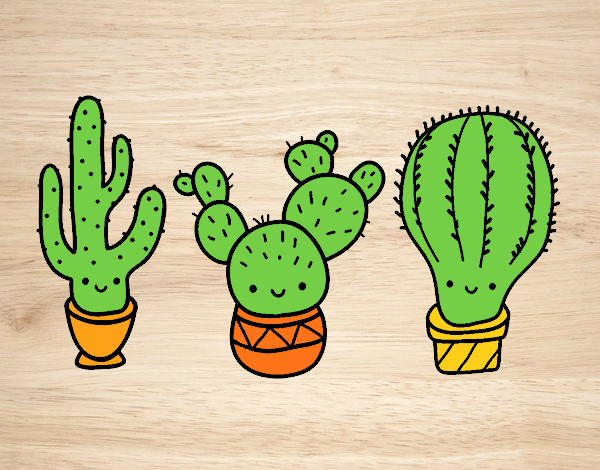 3 mini cactus