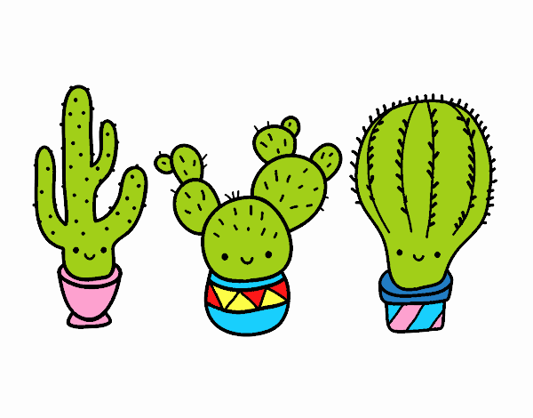 cactus