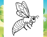 Abeja 2