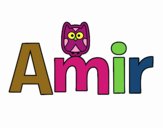 Amir