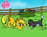 Applejack y Winona