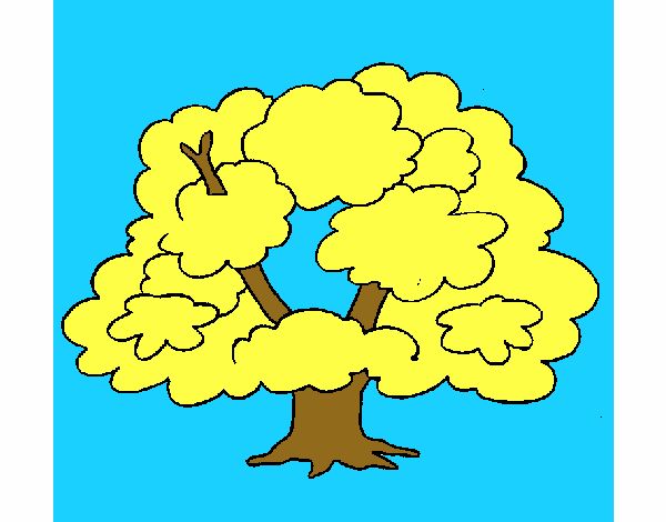 Árbol