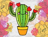 Cactus corazón