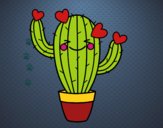 Cactus corazón