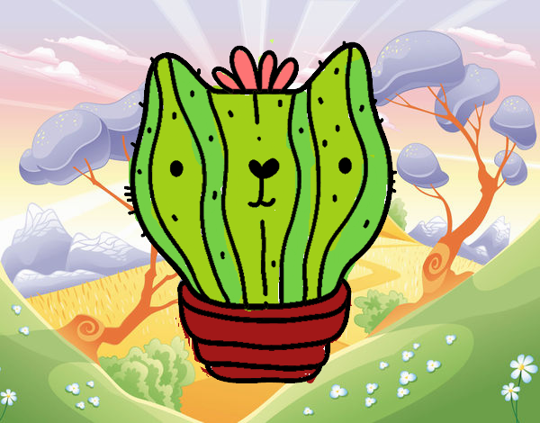 Cactus gato