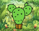 Cactus nopal