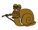 Caracol limpio