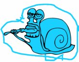 Caracol limpio