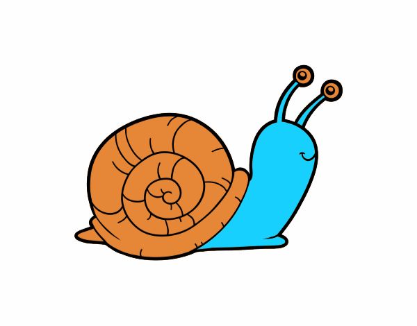 El caracol azulito