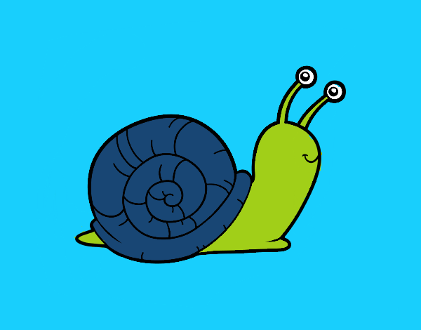 El caracol