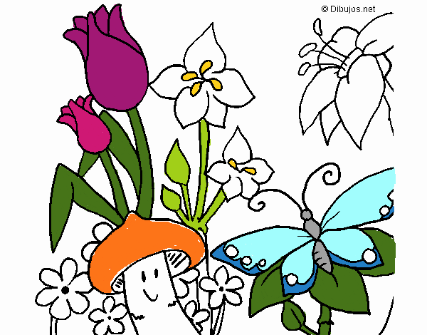 Dibujo de Fauna y flora pintado por en  el día 09-06-20 a las  13:32:50. Imprime, pinta o colorea tus propios dibujos!