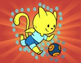 Gato jugando a fútbol