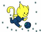 Gato jugando a fútbol