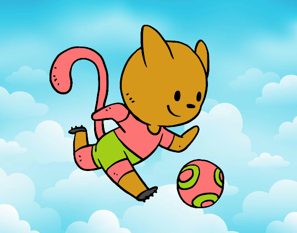 Gato jugando a fútbol