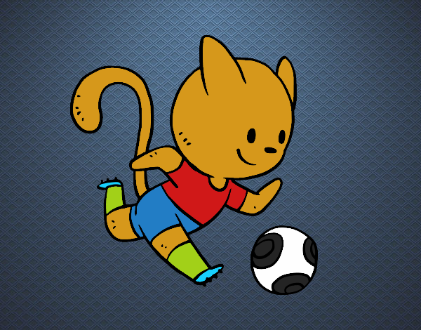 Gato jugando a fútbol