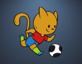 Gato jugando a fútbol