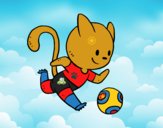 Gato jugando a fútbol