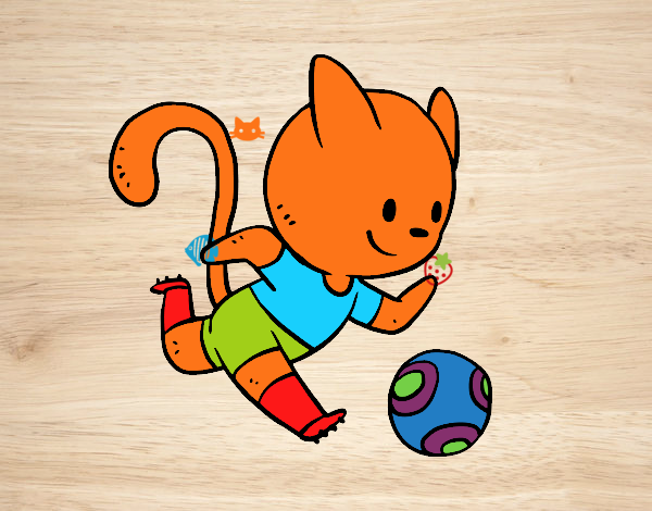 Gato jugando a fútbol