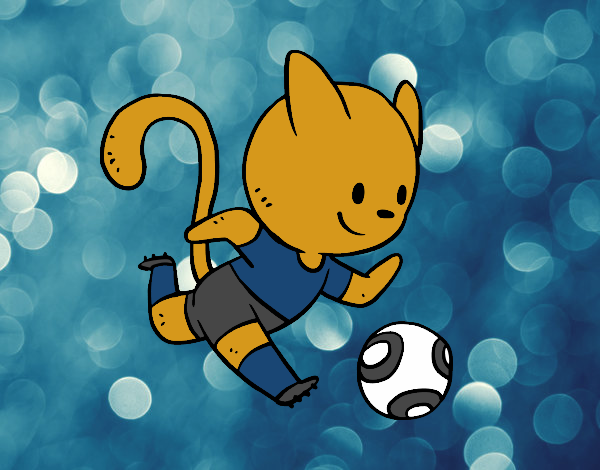 Gato jugando a fútbol