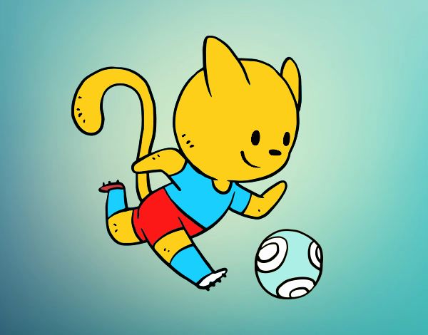 Gato jugando a fútbol