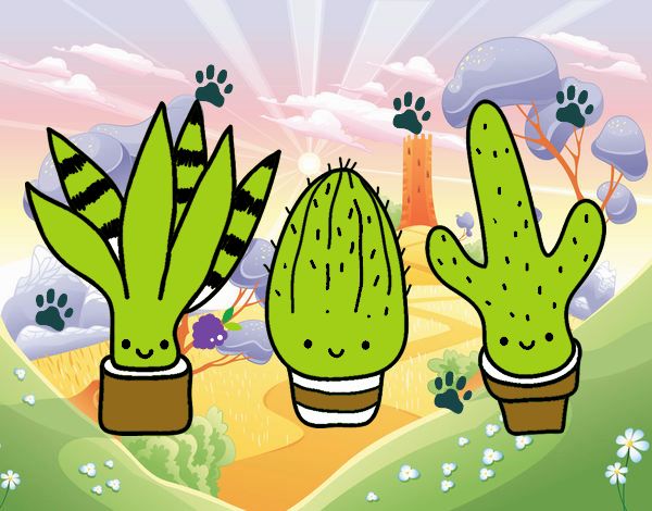 Mini cactus Fátima y brilli 🙋🐶