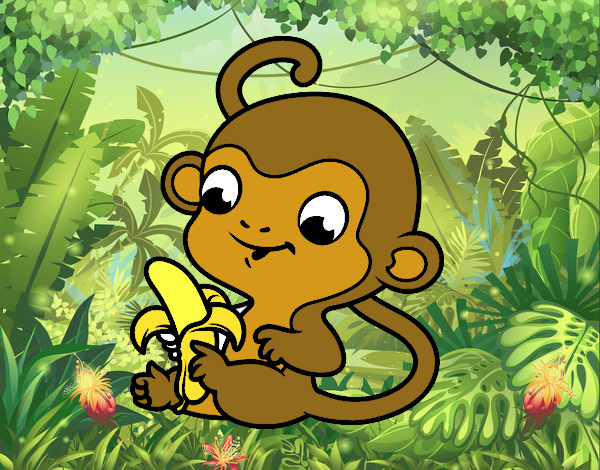 monito bebe comiendo su banana