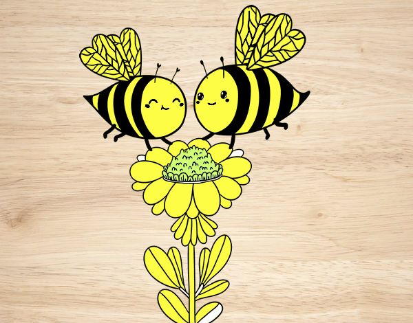 Pareja de abejas