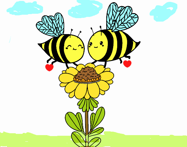 Pareja de abejas