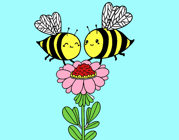 Pareja de abejas