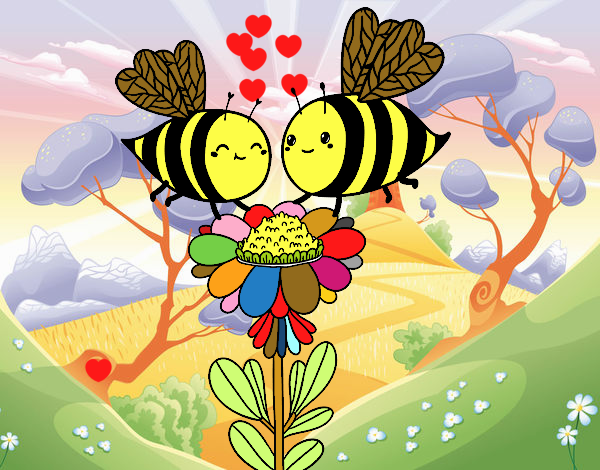 Pareja de abejas