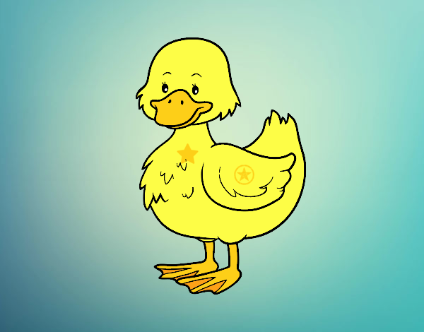 Patito de granja