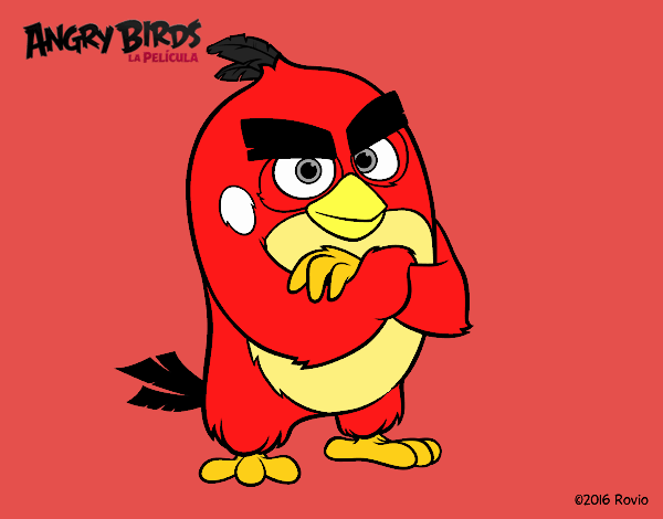 Red de Angry Birds