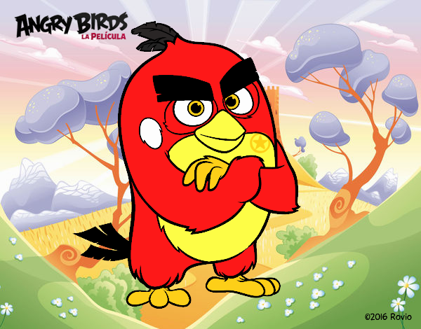 Red de Angry Birds