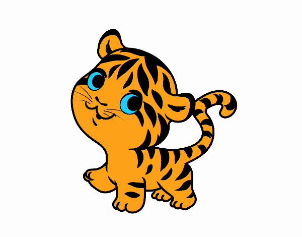 bebe tigre