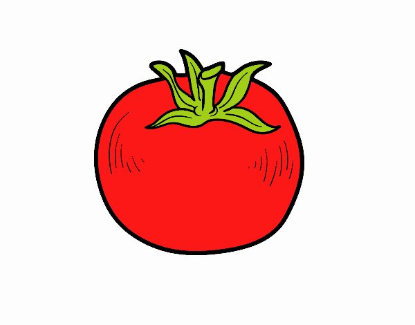 tomate