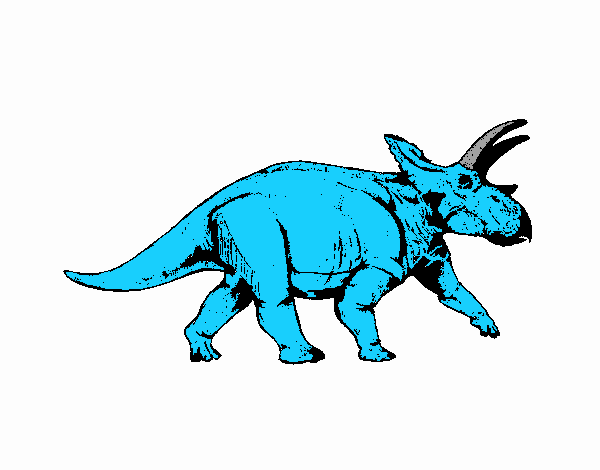 Triceratops 1