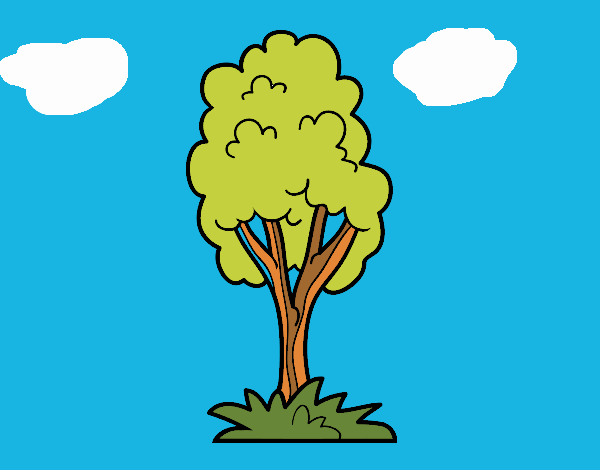 Un árbol de parque