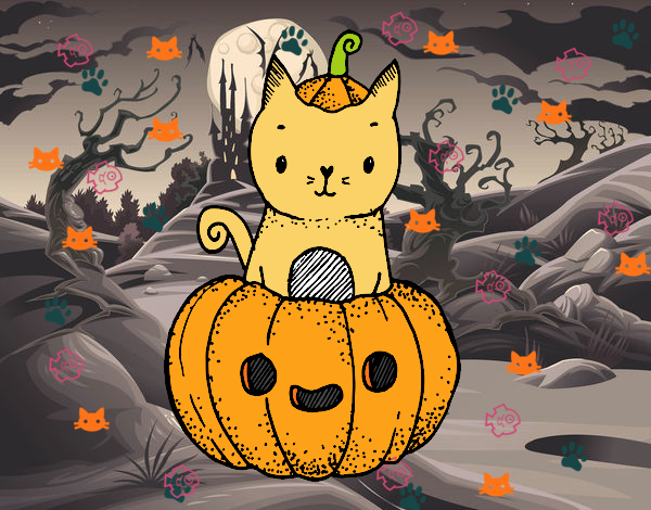 Un gatito de Halloween