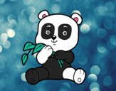 Un oso panda