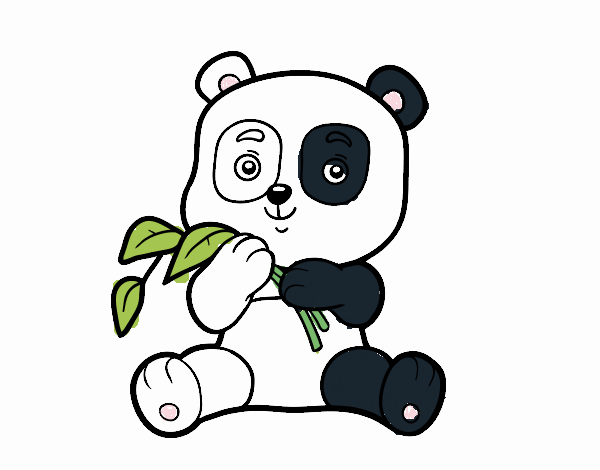 Un oso panda