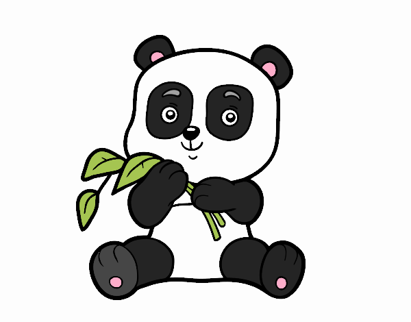 panda  