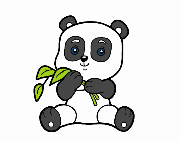 Un oso panda