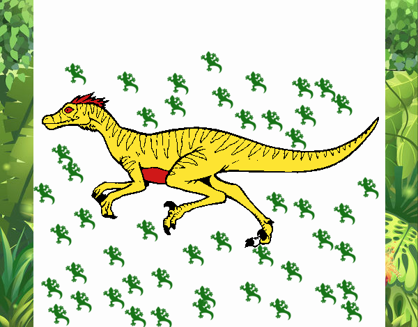 Velociraptor