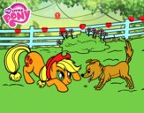 Applejack y Winona